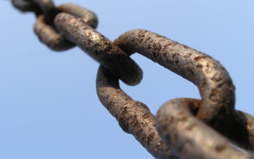 To Link Build or Not To Link Build